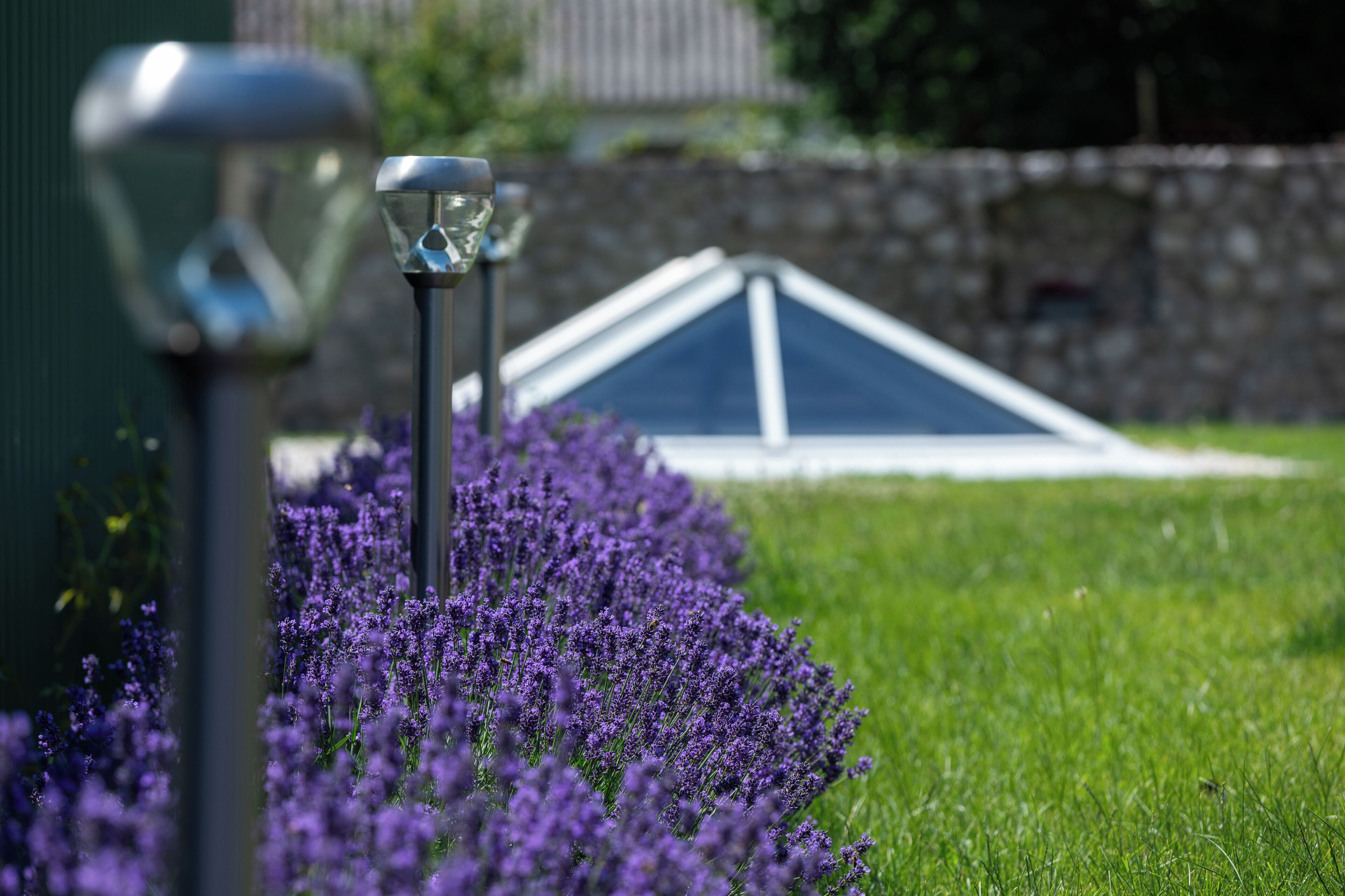 Ein Garten mit violetten Blumen und einer dreieckigen Struktur im Hintergrund.