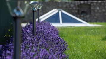 Ein Garten mit violetten Blumen und einer dreieckigen Struktur im Hintergrund.