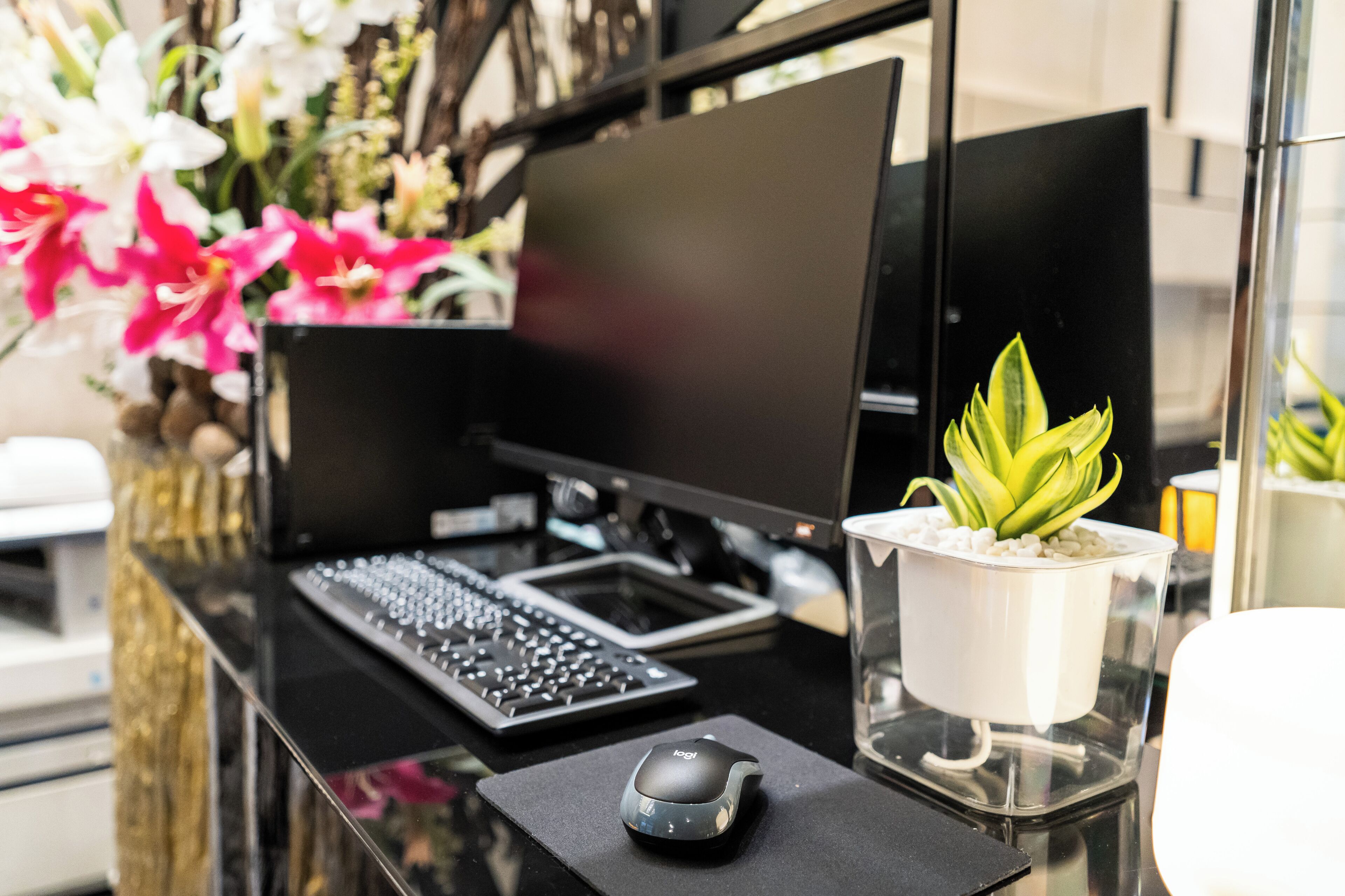 A desk with a computer setup, including a keyboard, mouse, and monitor. There is a potted plant on the desk.