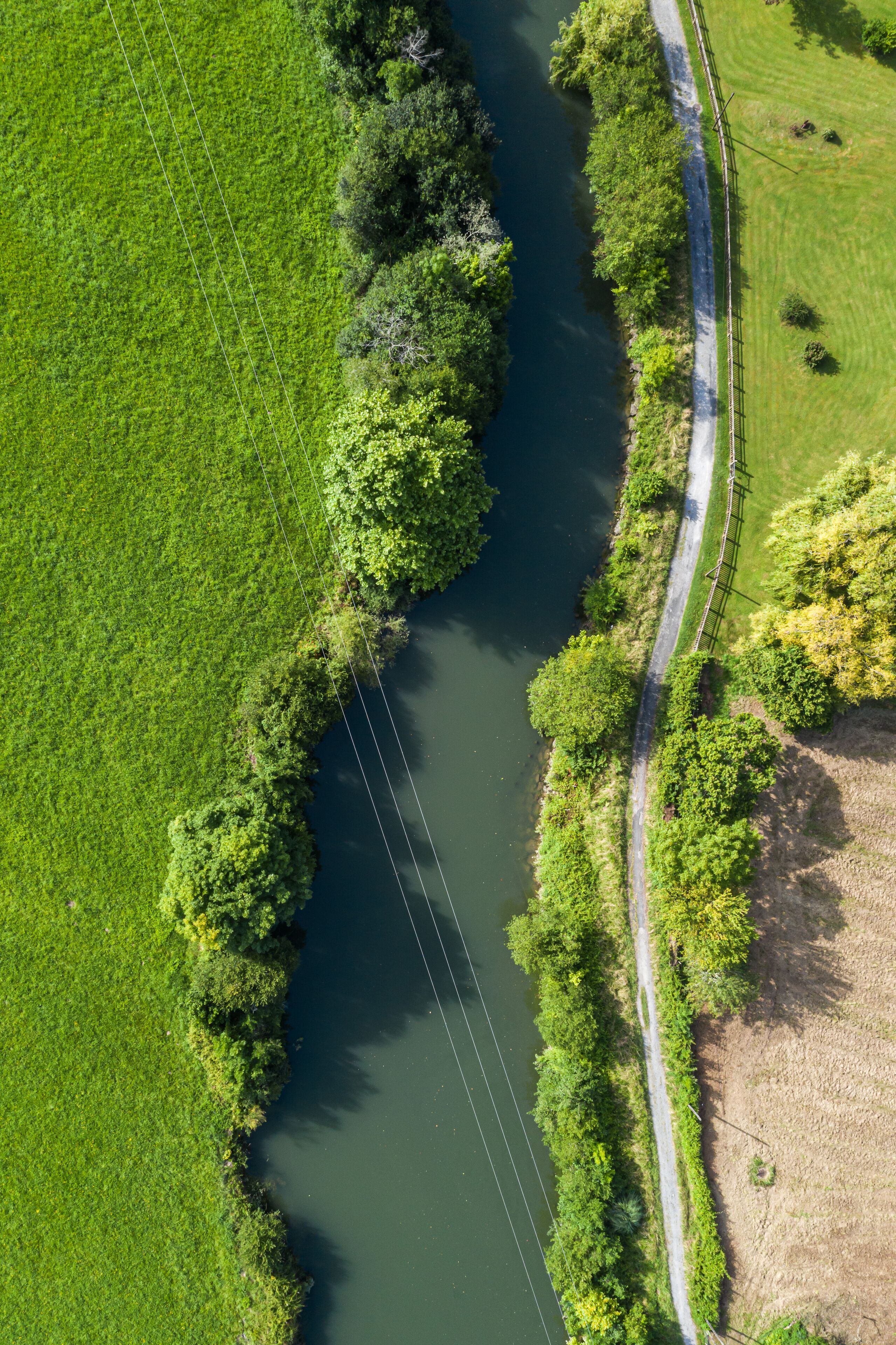 Vista aérea de un río bordeado por exuberante vegetación y un sendero pavimentado.