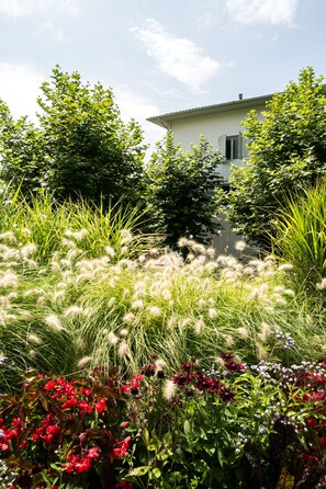 Jardin