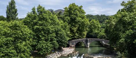 Un pont de pierre enjambe une rivière, le tout étant entouré d’une végétation luxuriante.