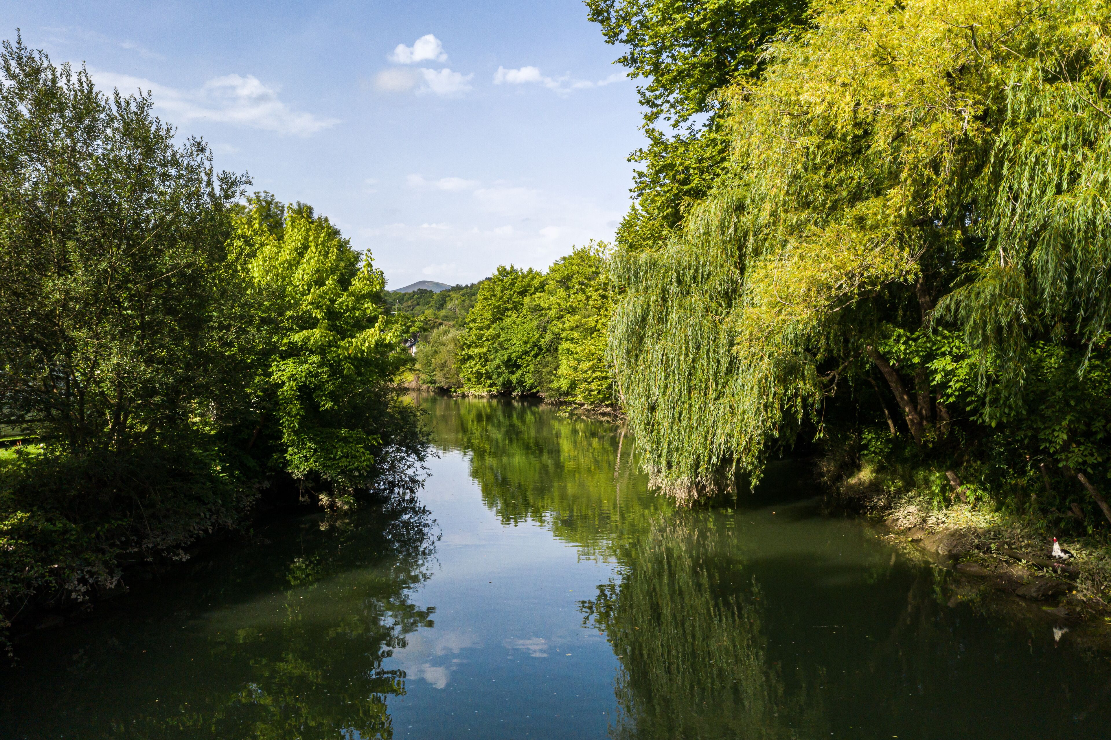 A calm river surrounded by dense greenery and trees.
