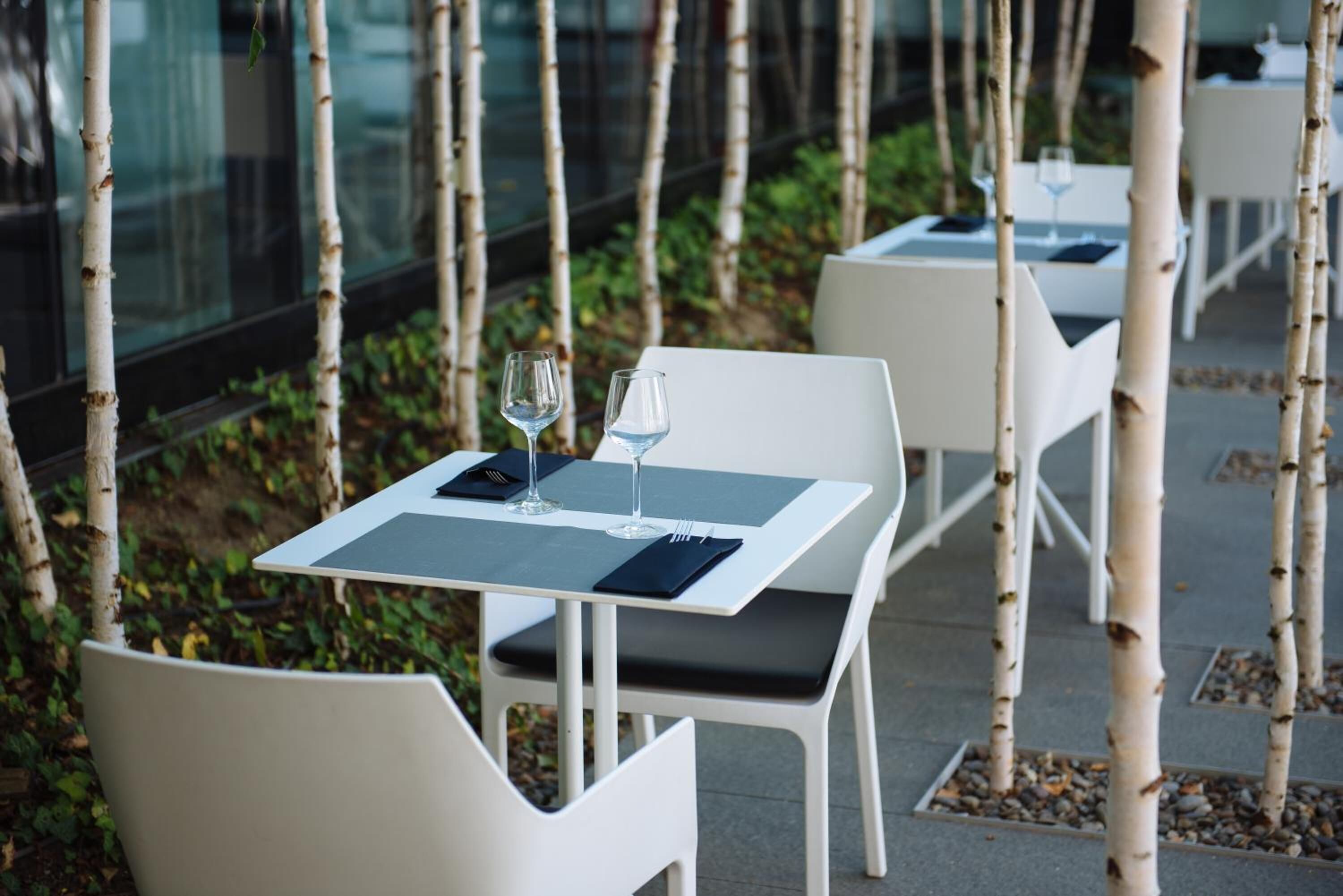 A dining area with white tables and chairs, arranged outdoors with birch trees and a glass wall in the background.