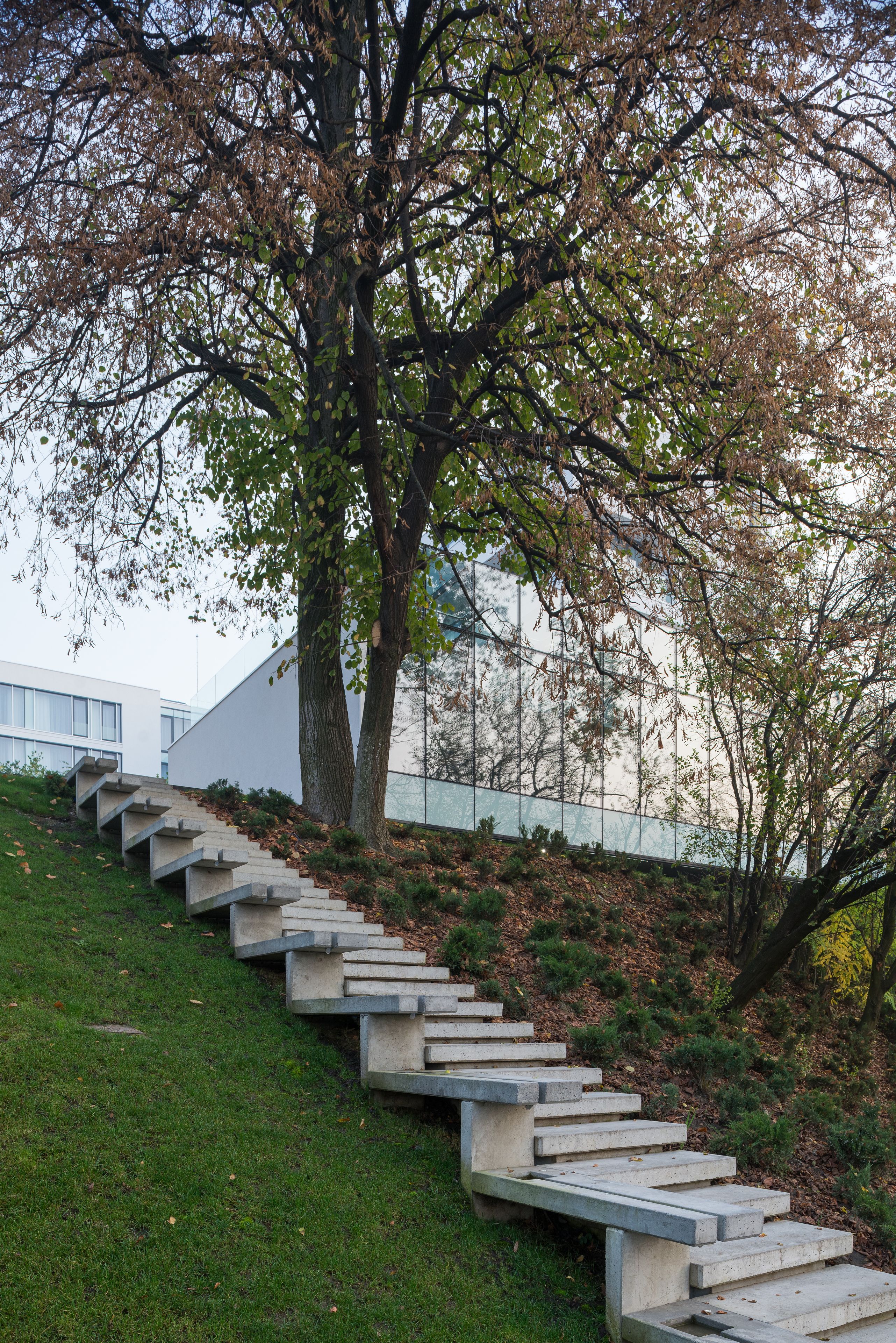 A set of concrete stairs ascending a grassy slope, leading to a modern building with large windows.