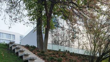 A set of concrete stairs ascending a grassy slope, leading to a modern building with large windows.