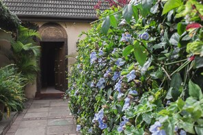 Garden - Godials Bed & Breakfast (Nairobi)