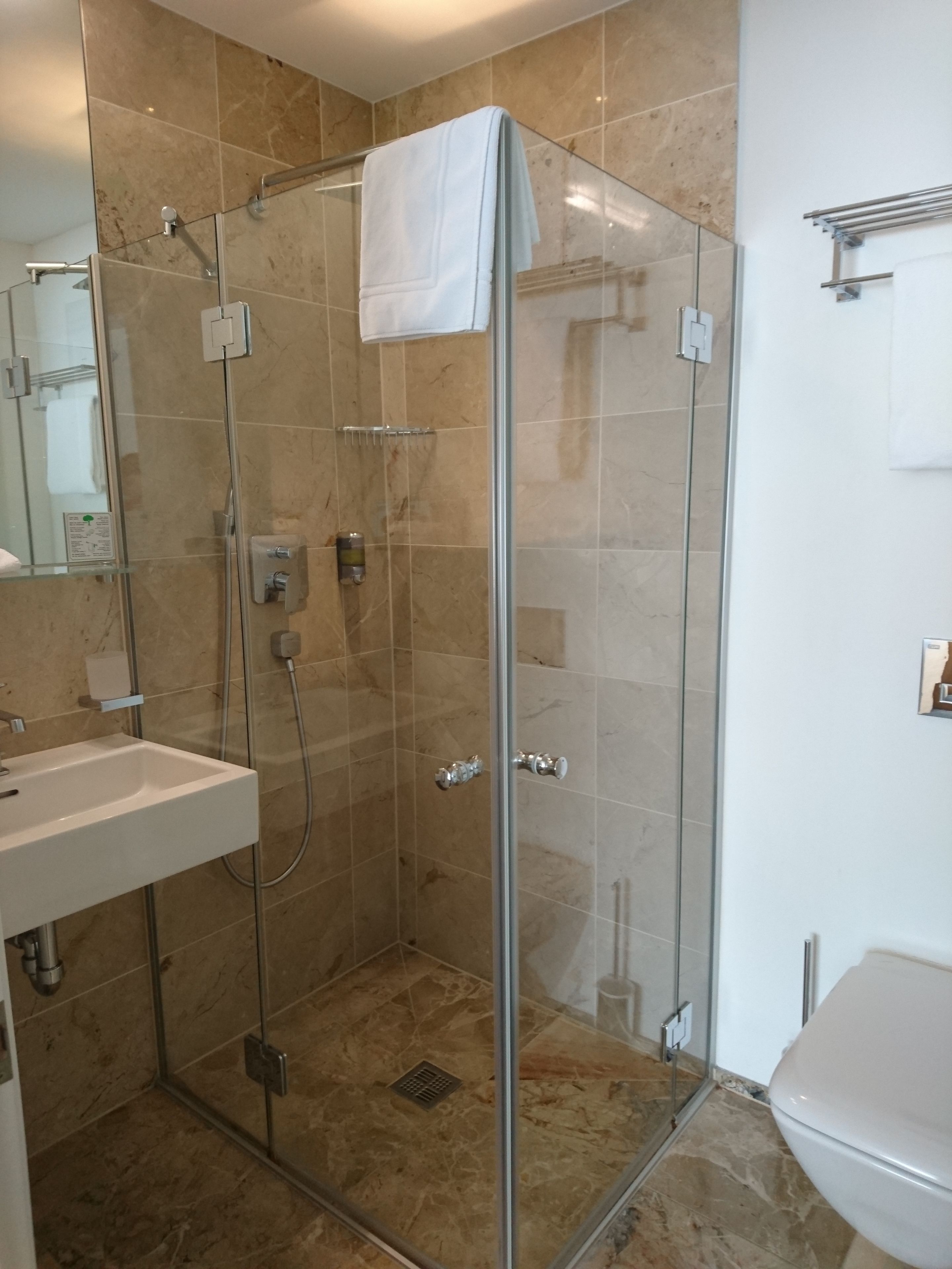A modern bathroom with a glass-enclosed shower, a white sink, and a toilet.