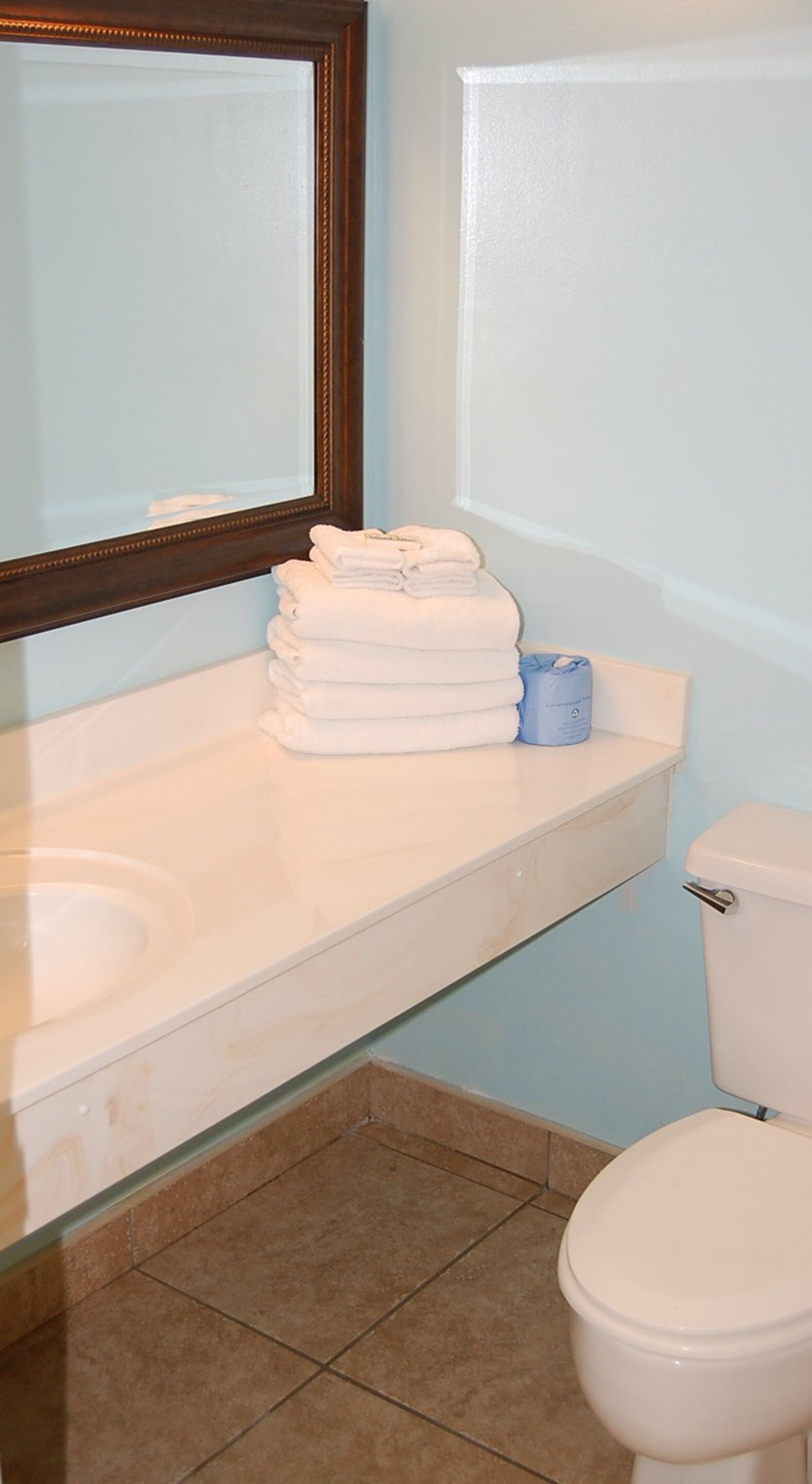 hair dryer, towels, soap, toilet paper