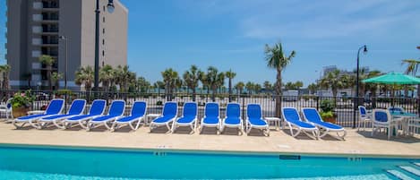 Pet Friendly Hotels In Myrtle Beach Sc