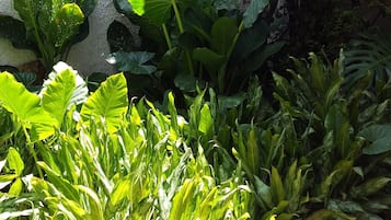 Jardín