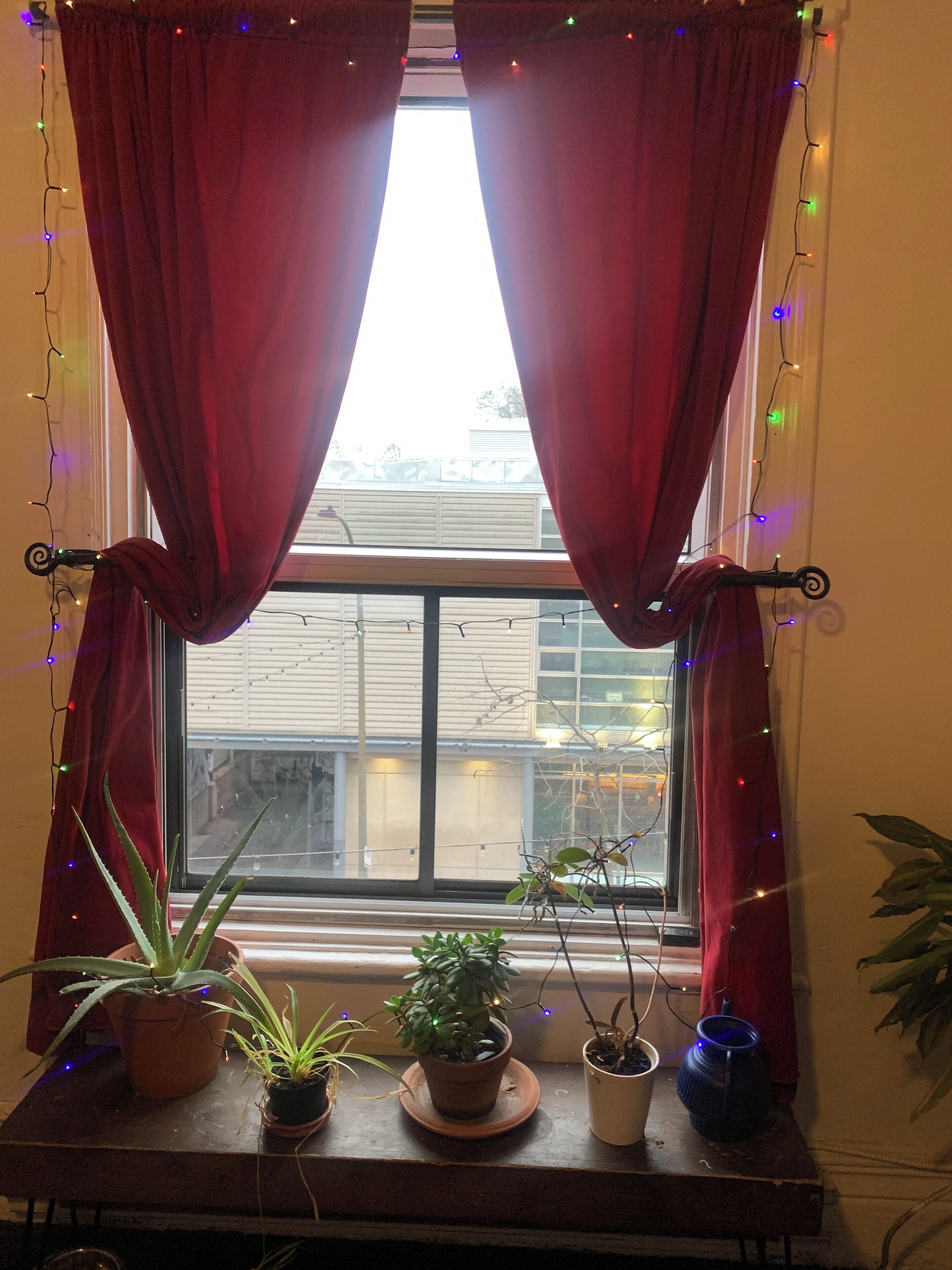 Foto - Pensione Popolo