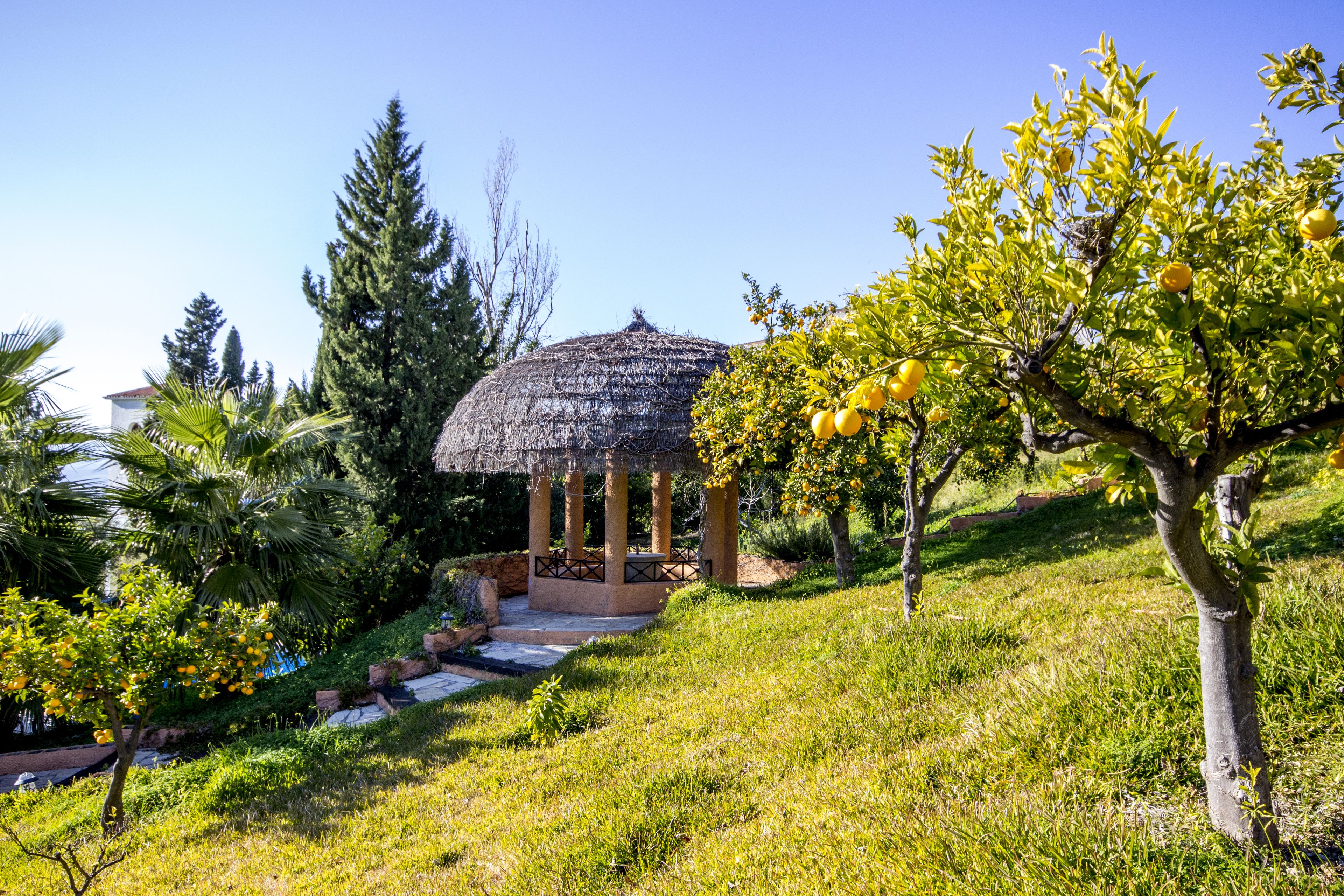 Foto - Hotel Sierra Tejeda