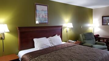 Standard Single Room, 1 King Bed | 1 bedroom, desk, soundproofing, iron/ironing board