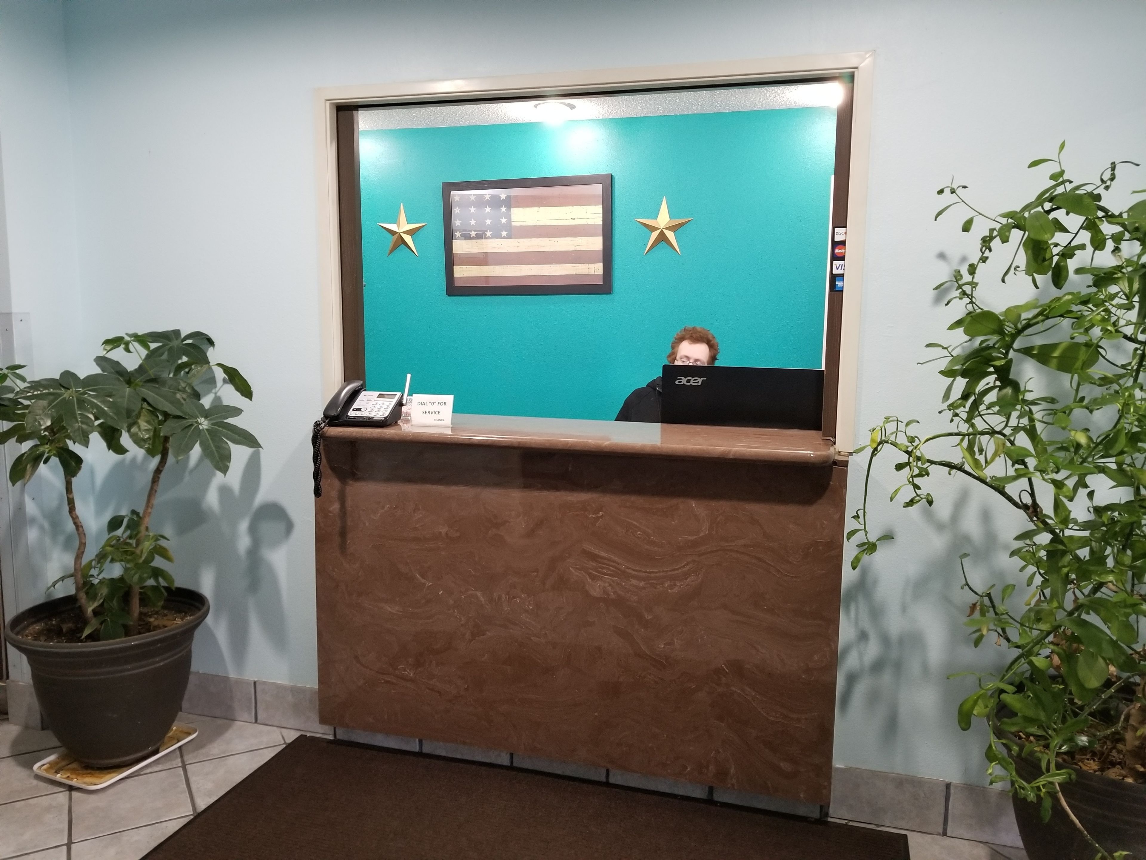 Un comptoir d’accueil avec un mur turquoise, deux étoiles et un drapeau américain. De part et d’autre, on trouve des plantes en pot.