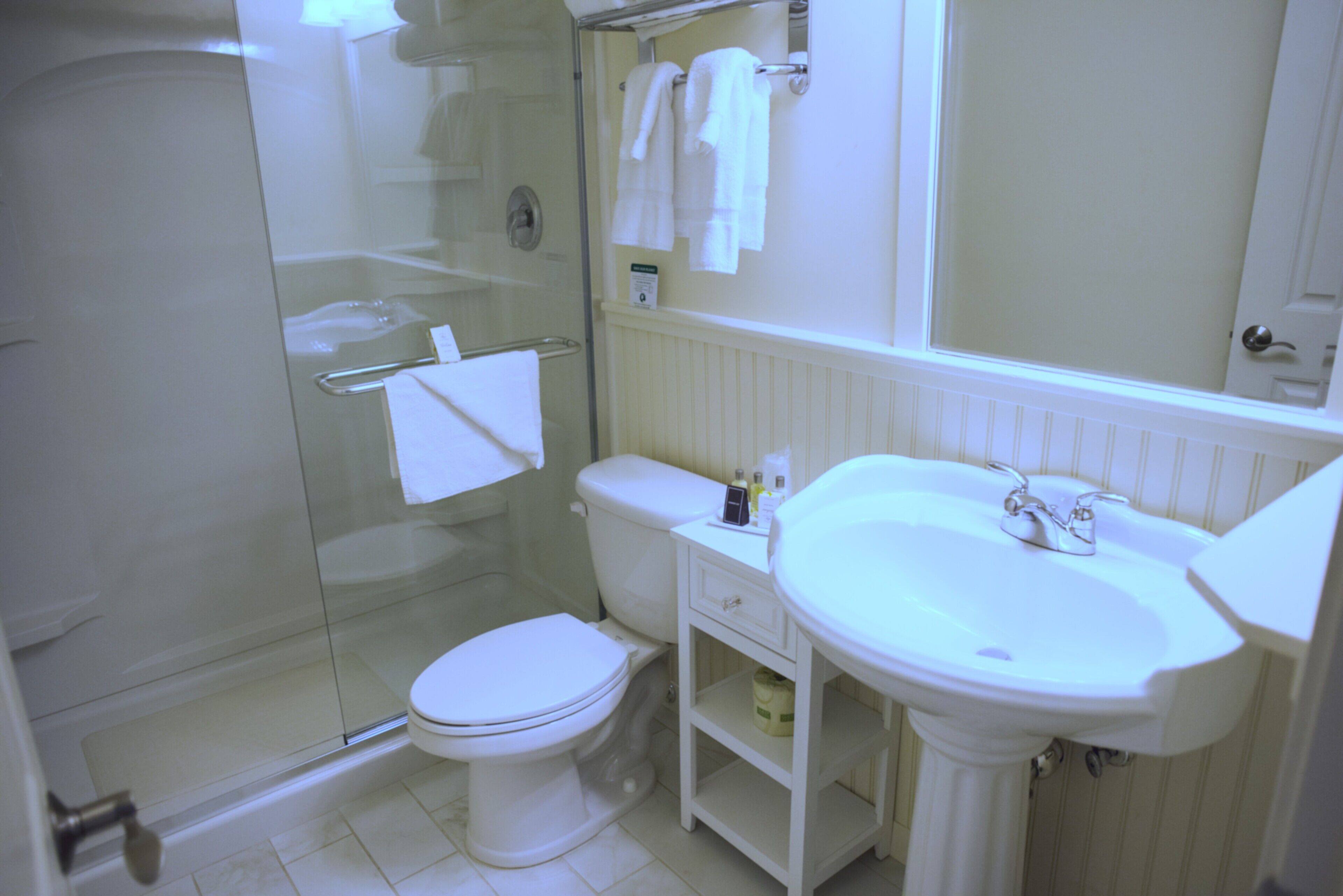 hair dryer, towels, soap, shampoo