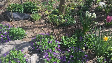 Blick auf den Garten
