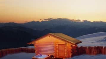Sauna, hot tub, steam room, Turkish bath/hammam, body treatments