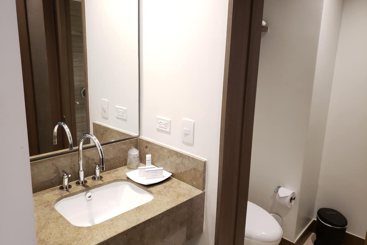shower, designer toiletries, hair dryer, towels