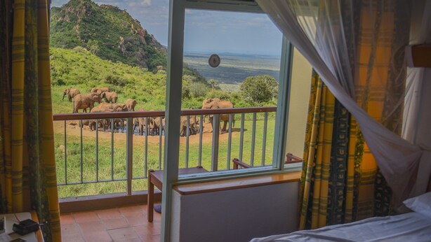 Double or Twin Room | View from room - Ngulia Safari Lodge (Tsavo)