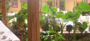 Un área de comedor con mesas dispuestas para comensales, rodeada de abundante vegetación y una estructura de pérgola de madera.