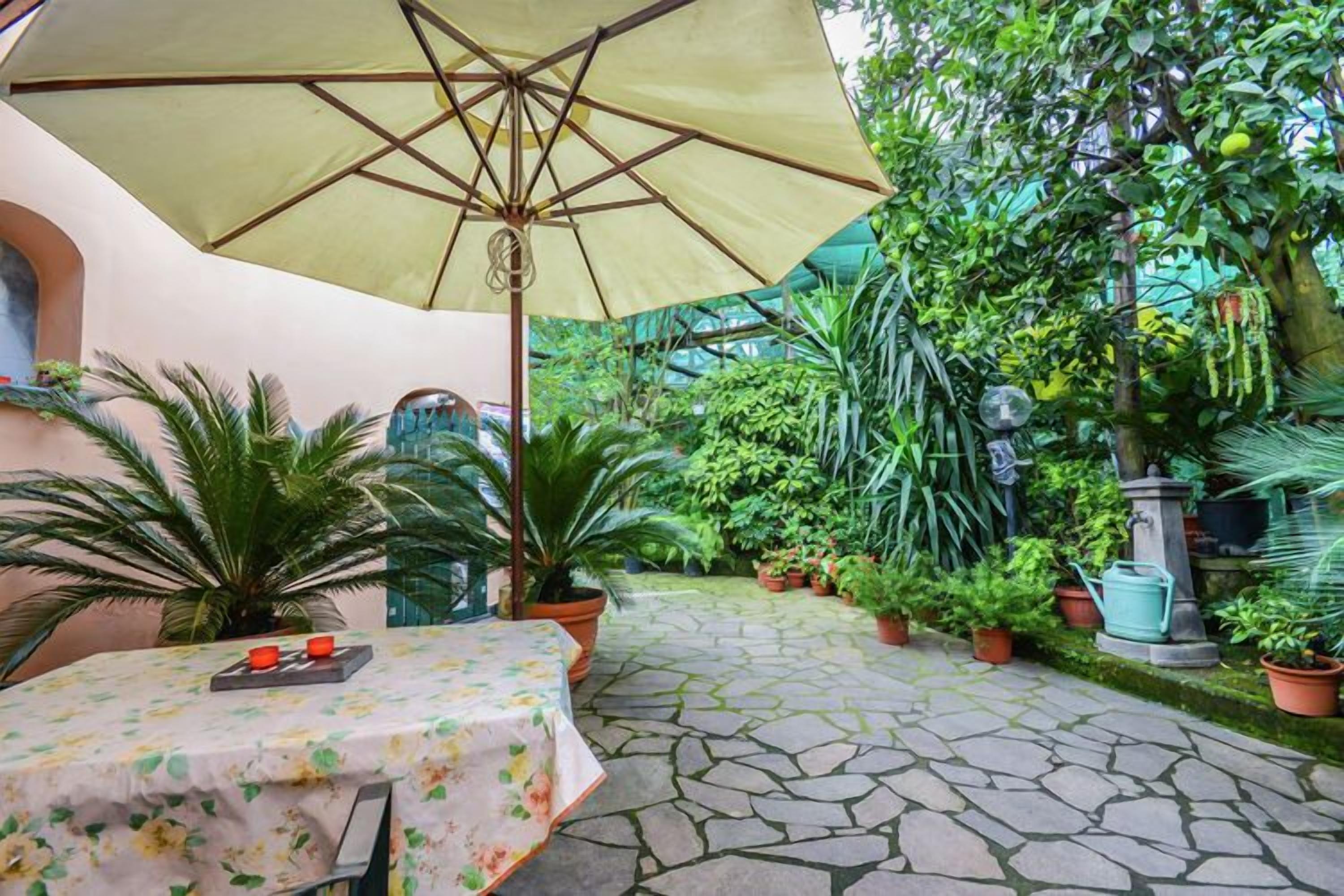 Un espace extérieur aménagé en terrasse, avec une table placée sous un grand parasol, entouré de plantes en pot et bordé d’un chemin de pierres.