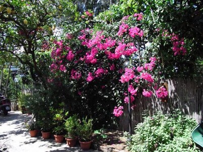 卡薩萊呂恩茲亞蒂亞酒店