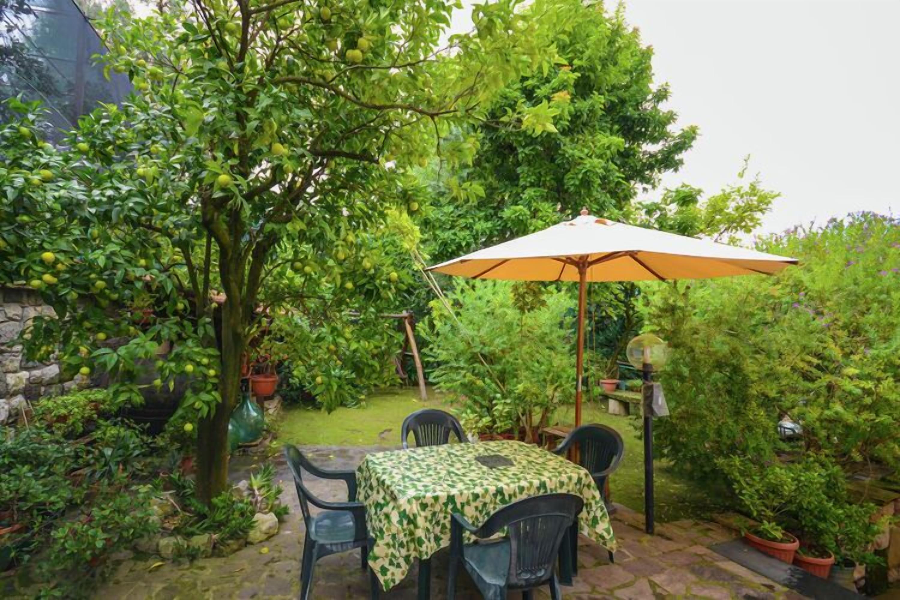 En patio med bord og stole, omgivet af frodig vegetation og et frugtbærende træ.
