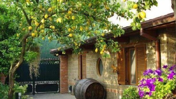 A courtyard with a building, a barrel, and flowering plants. - Casale Nunziatina (Sorrento)
