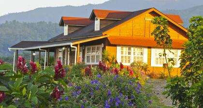 Finca Hamburgo
