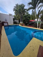Outdoor pool, sun loungers
