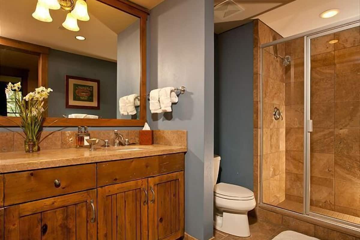 combined shower/bathtub, designer toiletries, hair dryer, dressing gowns