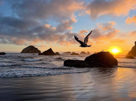 Beach nearby, windsurfing