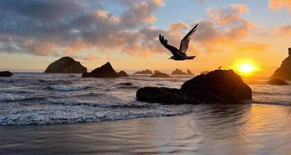 Sunset Oceanfront Lodging