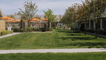 Barbecue/picknickplaats