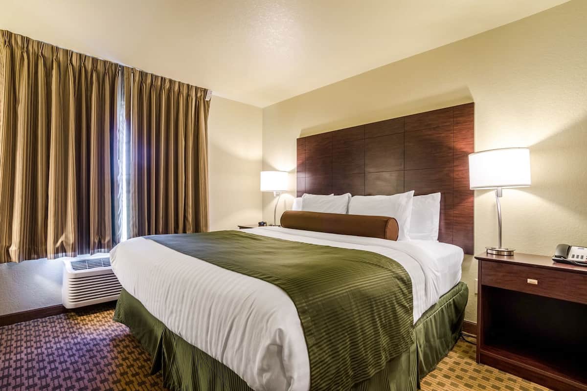 A hotel room with a large bed, a bedside table with a lamp, a heater, and a window with curtains.