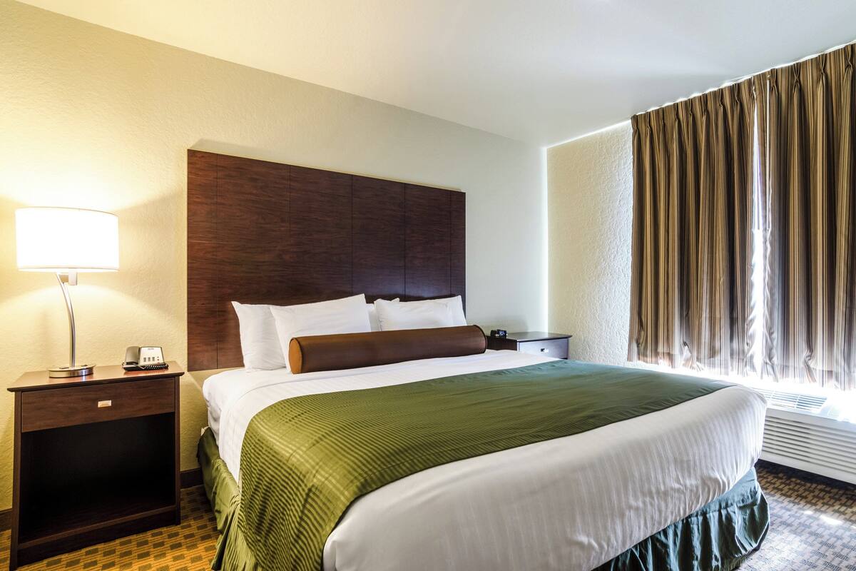 suite, 1 king bed with sofa bed, accessible, non smoking (extended stay) | 1 bedroom, premium bedding, pillow-top beds, desk