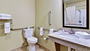A bathroom with a toilet, grab bars, a sink, and a mirror.