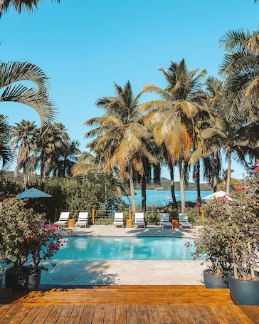 Outdoor pool, sun loungers