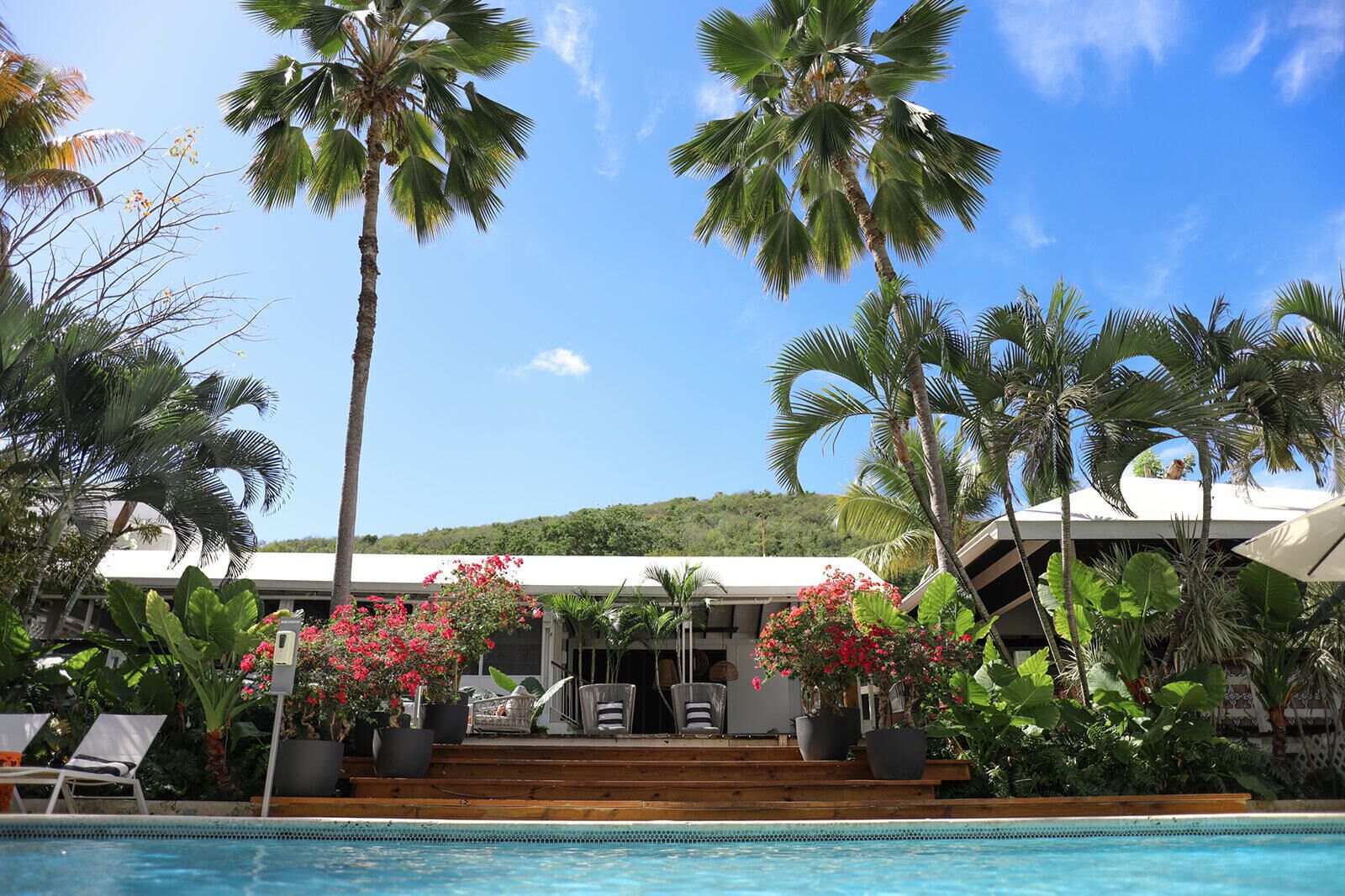 Un espace aménagé au bord de la piscine, avec des chaises longues, un escalier menant à un bâtiment et des plantes tropicales.