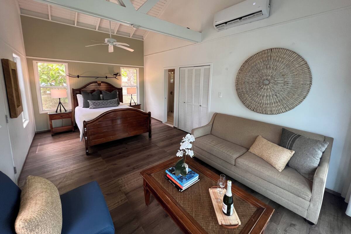 A room with a bed, a sofa, a coffee table, and a wall-mounted air conditioner.