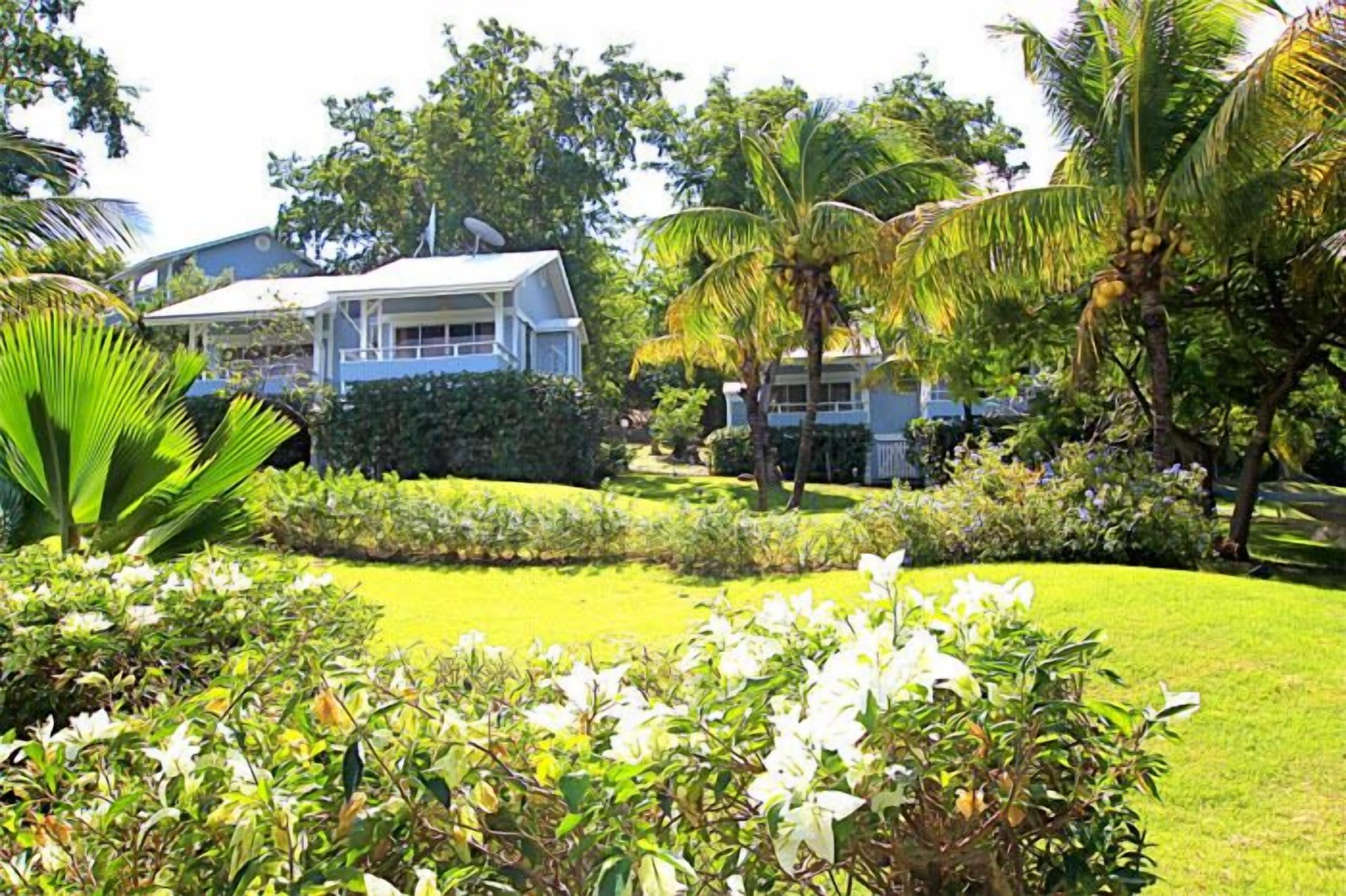 Une maison à l’extérieur blanc, entourée d’une végétation luxuriante et de palmiers.