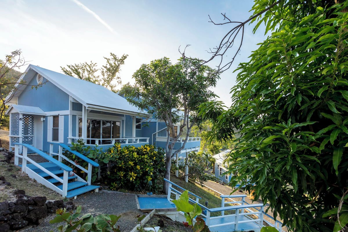 A blue house with a porch and stairs, surrounded by greenery.