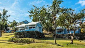A blue house with a white roof, surrounded by lush greenery and trees.
