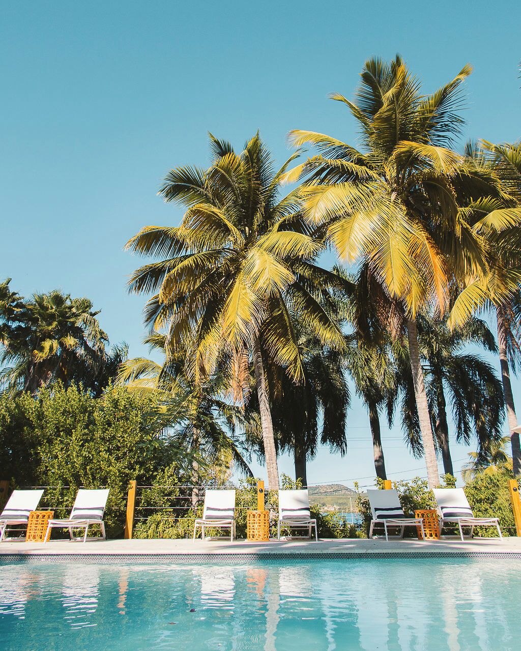 outdoor pool, pool loungers