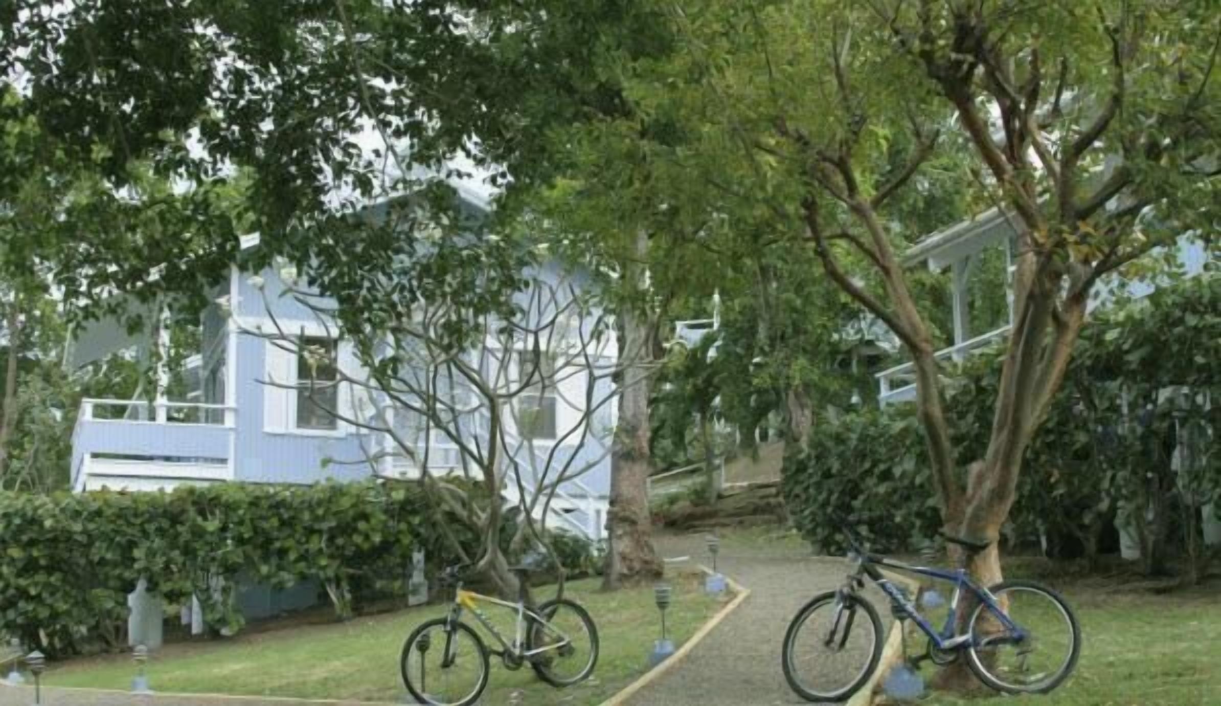 A pathway leading to a blue building with a bicycle parked nearby.