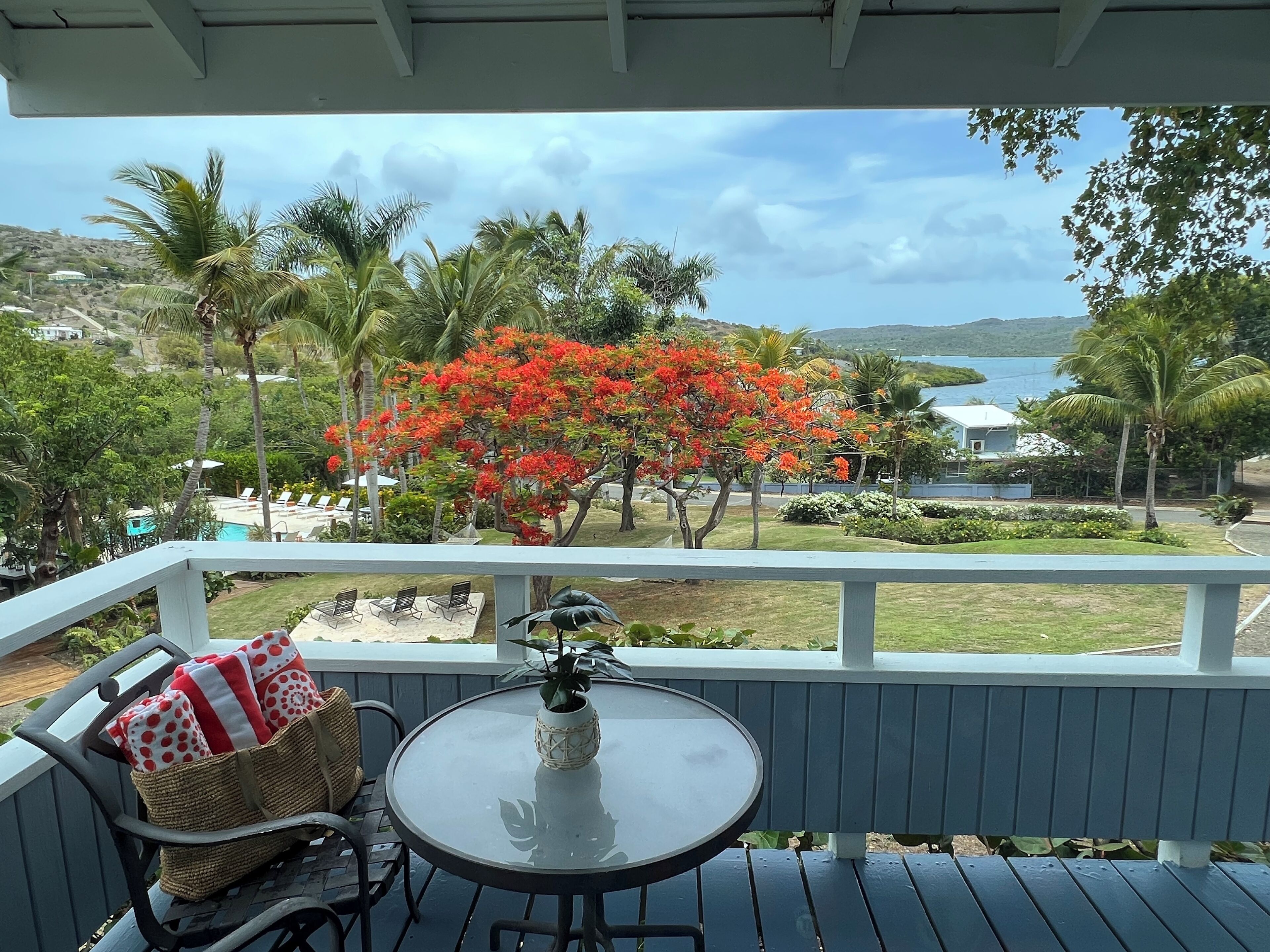 Foto - Club Seabourne Hotel