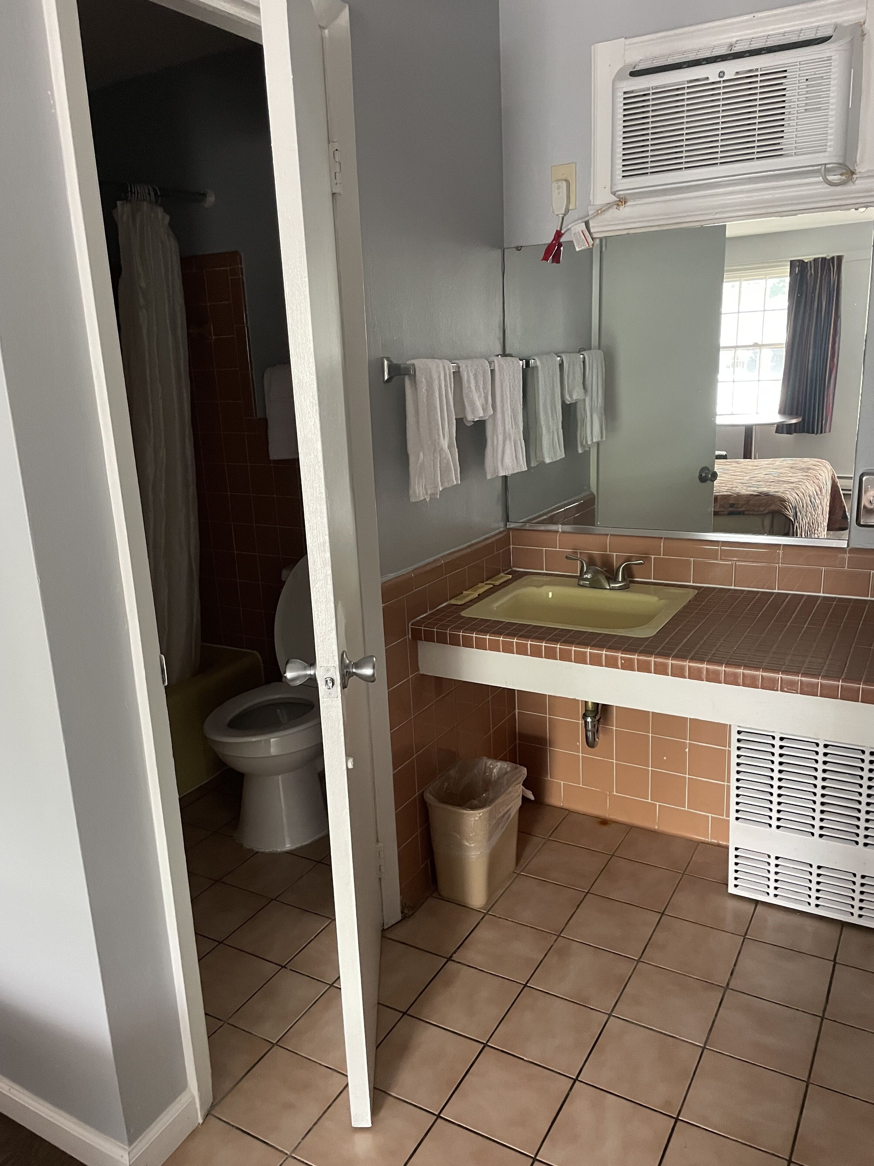 A bathroom with a toilet, sink, and mirror.