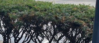 Colton Motel Gettysburg