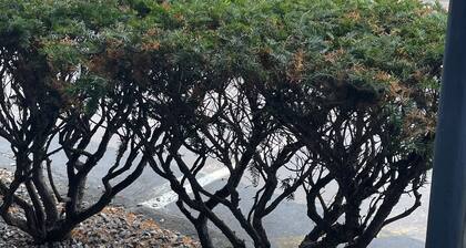 Colton Motel Gettysburg